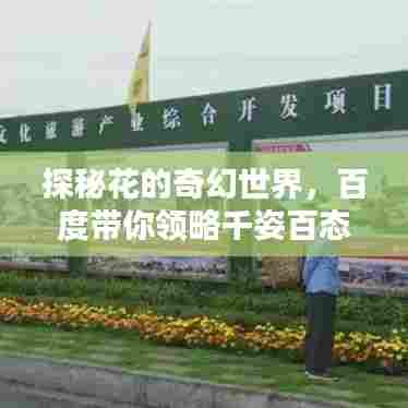 探秘花的奇幻世界,百度带你领略千姿百态的花卉图片