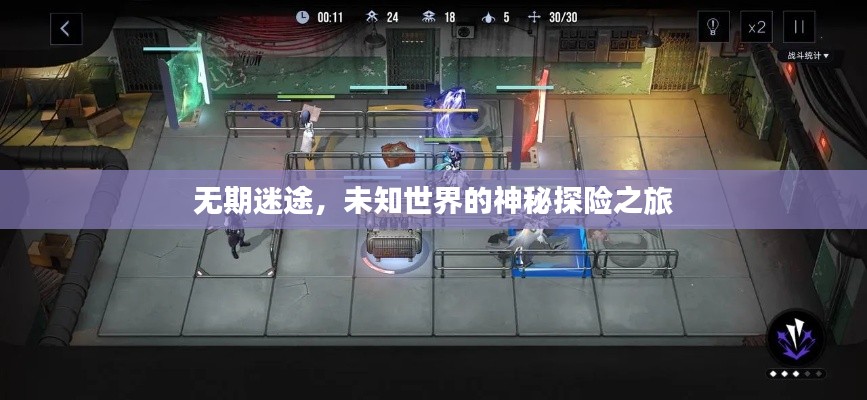 无期迷途,未知世界的神秘探险之旅
