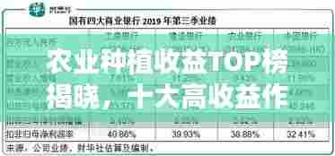 农业种植收益TOP榜揭晓,十大高收益作物排名!