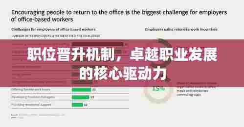 职位晋升机制,卓越职业发展的核心驱动力