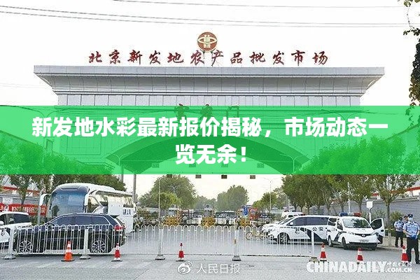 新发地水彩最新报价揭秘，市场动态一览无余！