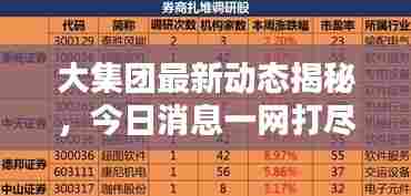 大集团最新动态揭秘,今日消息一网打尽!