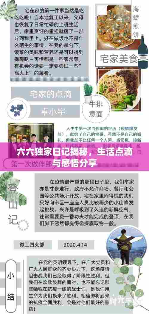 六六独家日记揭秘,生活点滴与感悟分享