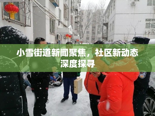 小雪街道新闻聚焦,社区新动态深度探寻