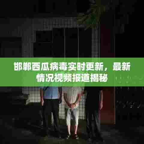 邯郸西瓜病毒实时更新，最新情况视频报道揭秘