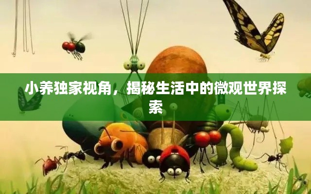 小养独家视角,揭秘生活中的微观世界探索
