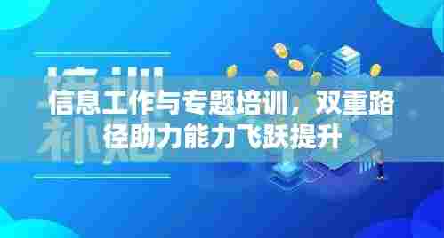 信息工作与专题培训,双重路径助力能力飞跃提升