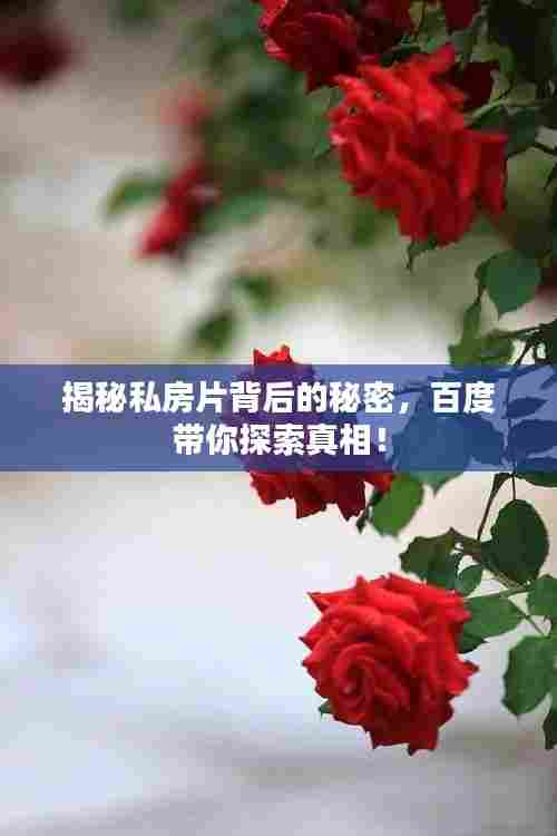 揭秘私房片背后的秘密,百度带你探索真相!