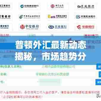 普顿外汇最新动态揭秘,市场趋势分析与交易策略洞察