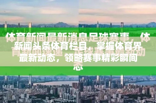 新闻头条体育栏目,掌握体育界最新动态,领略赛事精彩瞬间