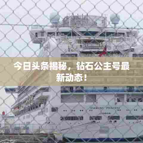 今日头条揭秘,钻石公主号最新动态!