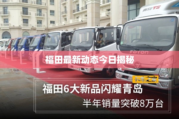 福田最新动态今日揭秘