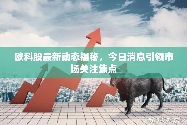 欧科股最新动态揭秘，今日消息引领市场关注焦点