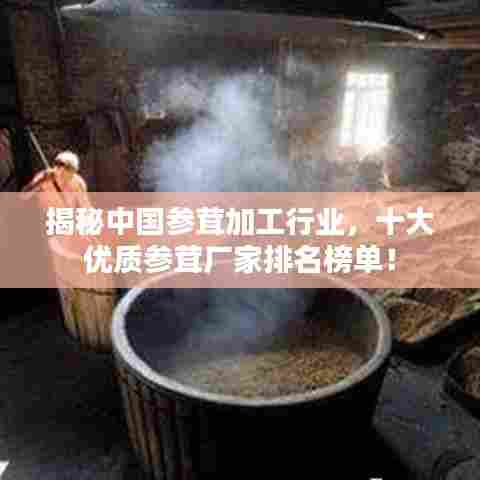 翰飞戾天 第6页