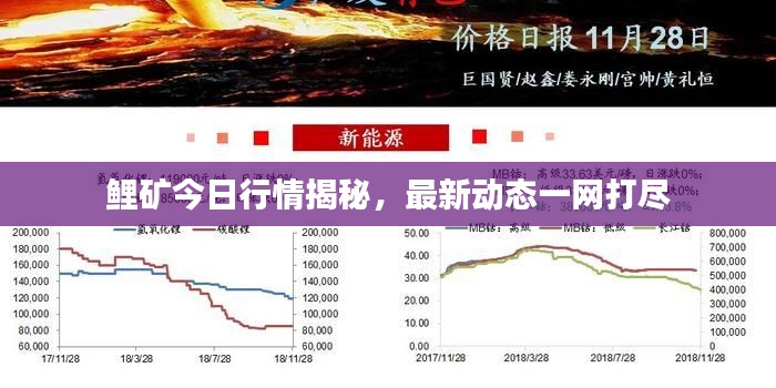 鲤矿今日行情揭秘,最新动态一网打尽