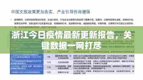 浙江今日疫情最新更新报告,关键数据一网打尽