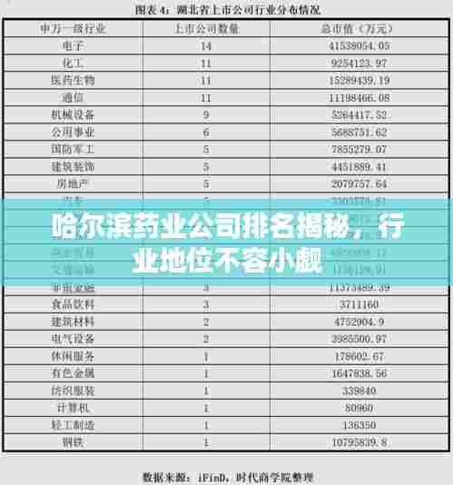 哈尔滨药业公司排名揭秘,行业地位不容小觑