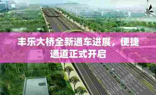 丰乐大桥全新通车进展,便捷通道正式开启