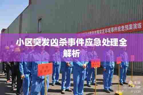 小区突发凶杀事件应急处理全解析