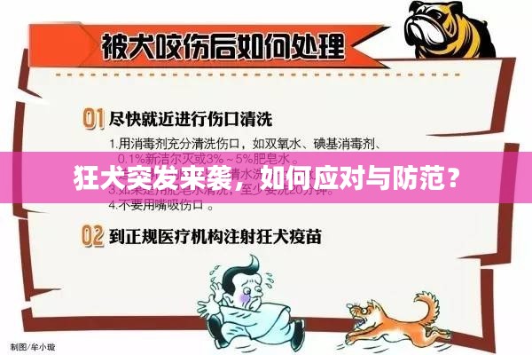 狂犬突发来袭,如何应对与防范?