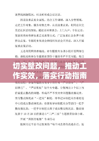 切实整改问题,推动工作实效,落实行动指南