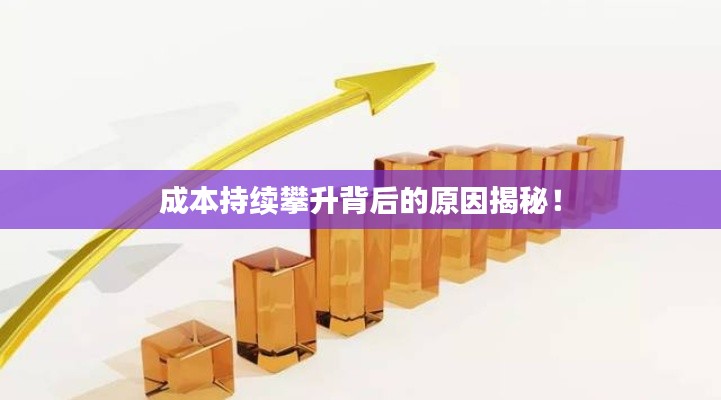 成本持续攀升背后的原因揭秘!