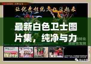 最新白色卫士图片集，纯净与力量的视觉盛宴