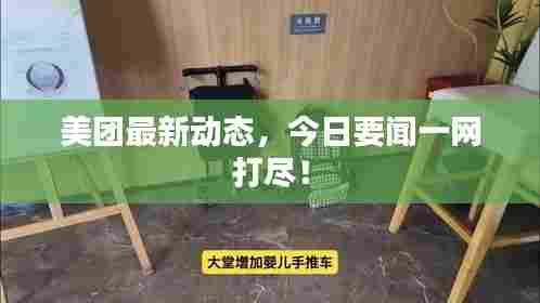 美团最新动态,今日要闻一网打尽!