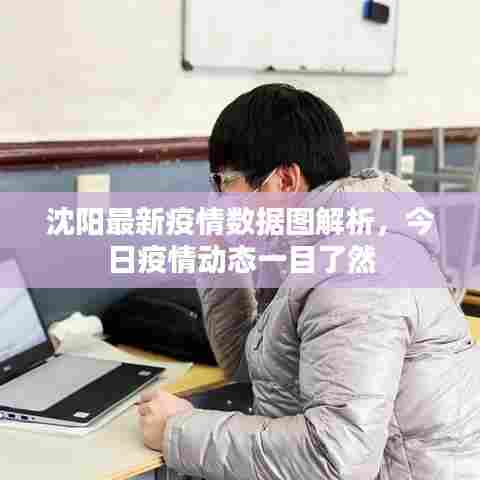 沈阳最新疫情数据图解析,今日疫情动态一目了然