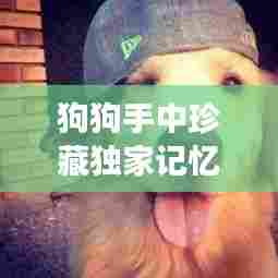 狗狗手中珍藏独家记忆,温情故事触动心灵深处