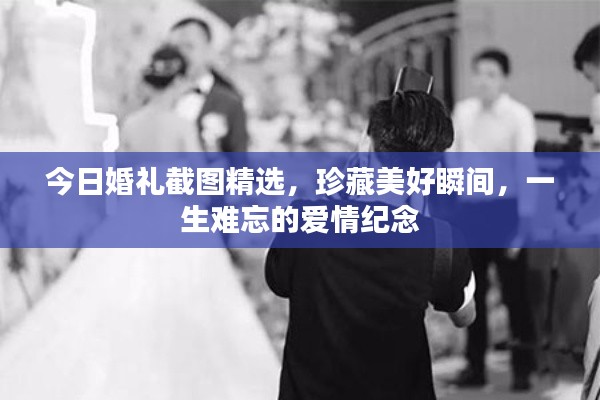 今日婚礼截图精选,珍藏美好瞬间,一生难忘的爱情纪念