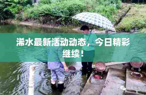 浠水最新活动动态，今日精彩继续！