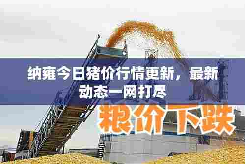 纳雍今日猪价行情更新,最新动态一网打尽