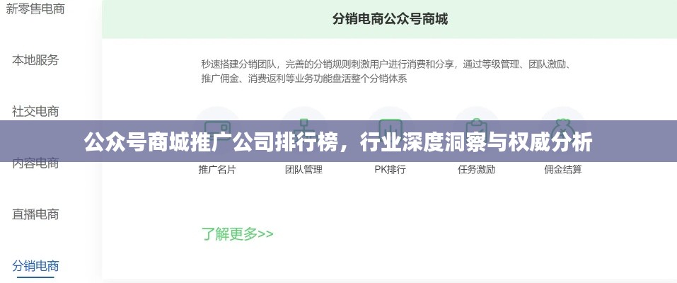 公众号商城推广公司排行榜,行业深度洞察与权威分析