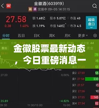 金徽股票最新动态,今日重磅消息一网打尽!