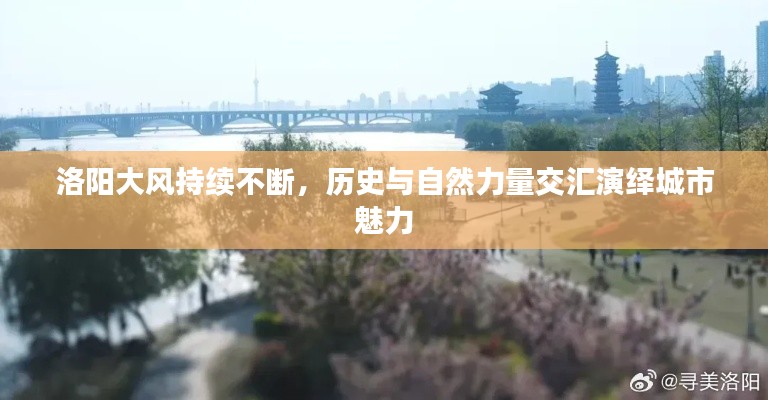 洛阳大风持续不断,历史与自然力量交汇演绎城市魅力