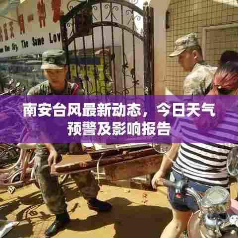 南安台风最新动态,今日天气预警及影响报告