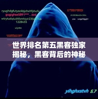 世界排名第五黑客独家揭秘,黑客背后的神秘世界