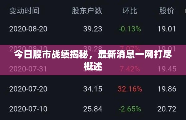 今日股市战绩揭秘，最新消息一网打尽概述