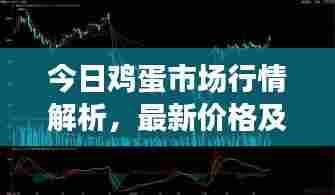 今日鸡蛋市场行情解析,最新价格及市场走势一网打尽
