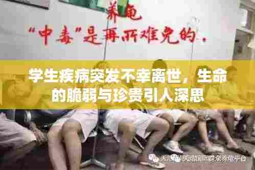 学生疾病突发不幸离世,生命的脆弱与珍贵引人深思