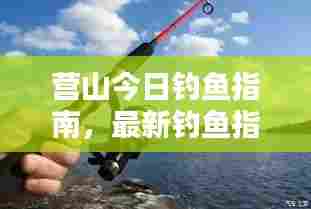 营山今日钓鱼指南,最新钓鱼指数全面解析