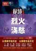 烈火浇愁小说,百度下的神秘探索之旅