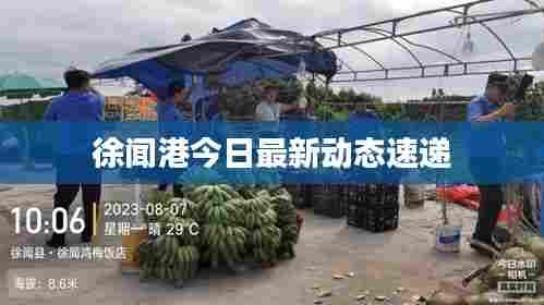 徐闻港今日最新动态速递