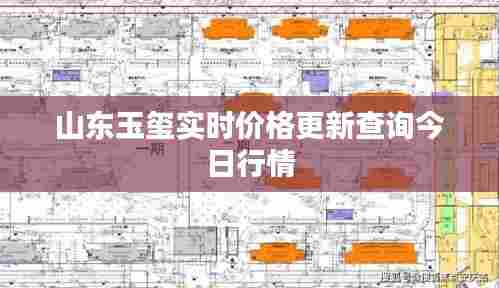 山东玉玺实时价格更新查询今日行情