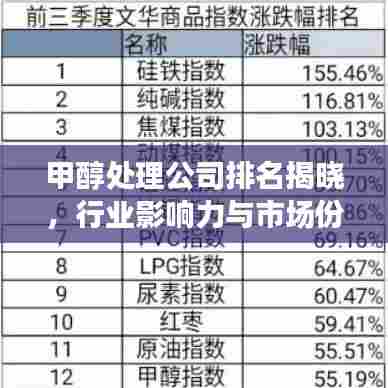 甲醇处理公司排名揭晓,行业影响力与市场份额揭秘!