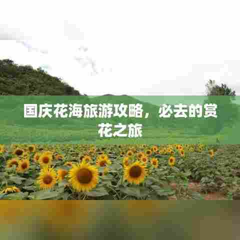 国庆花海旅游攻略,必去的赏花之旅