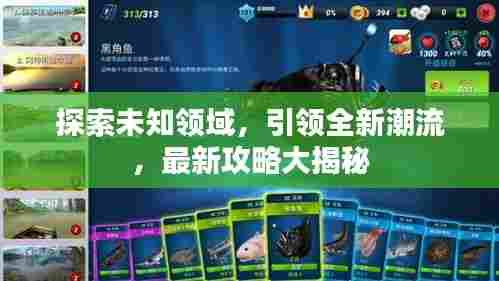 探索未知领域,引领全新潮流,最新攻略大揭秘
