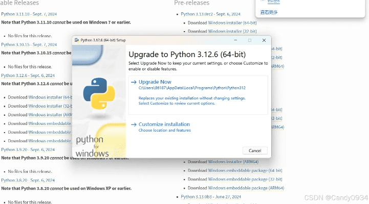 ptyhon官方下载,稳定性设计解析&amp;L版_v3.860