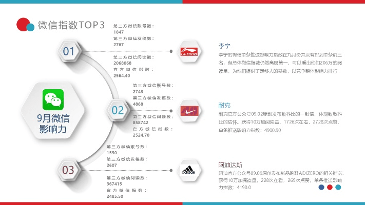 影响力版本,预测说明解析_运动版_v4.202